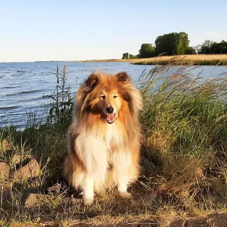 Hafenblick * Stahlbrode