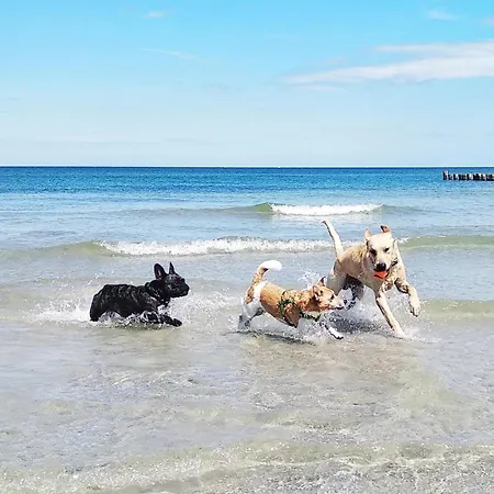 Hafenblick Stahlbrode