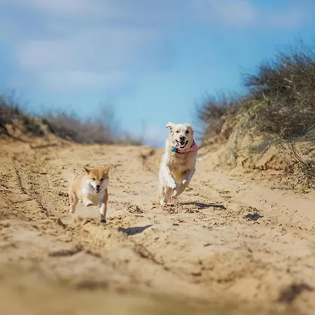 Hafenblick Casa vacanze *