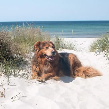 Hafenblick Casa vacanze